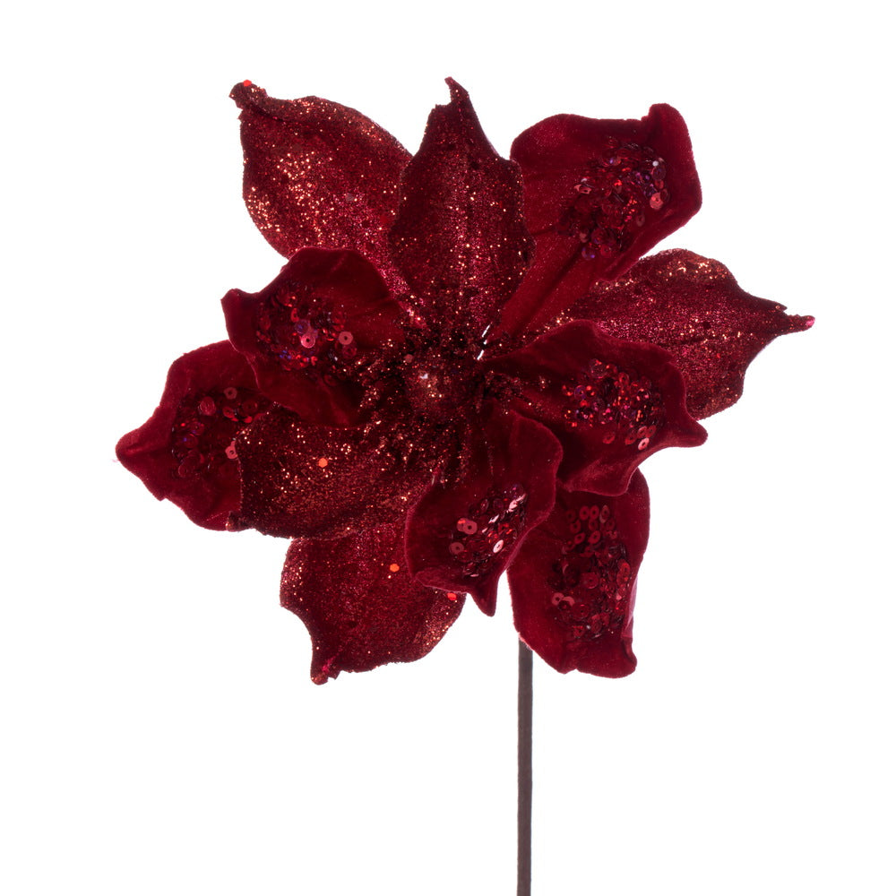 Red Deluxe Magnolia - My Christmas