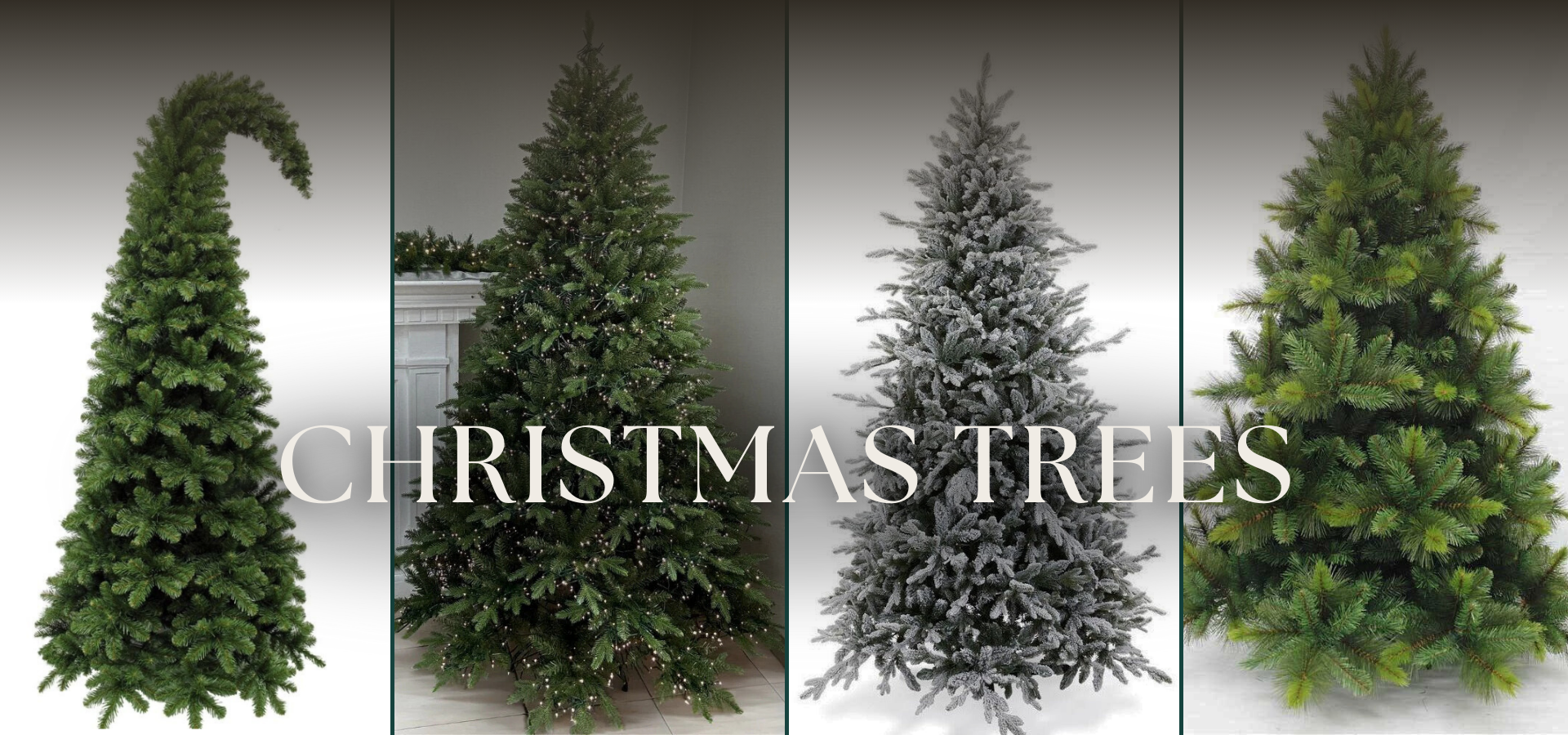My Christmas