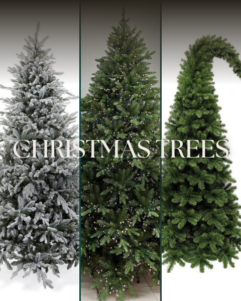 My Christmas