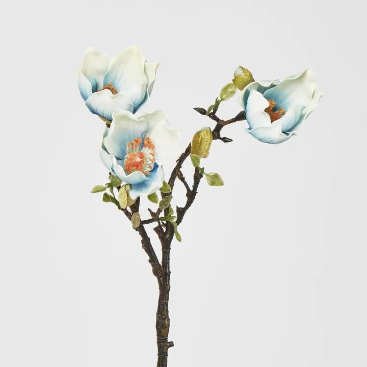 Blue Magnolia Branch - My Christmas