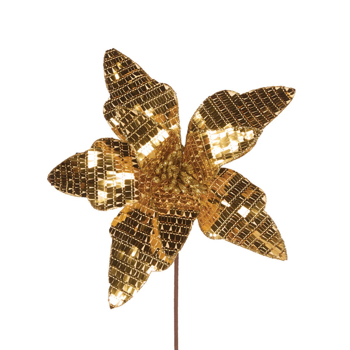 Gold Disco Poinsettia - My Christmas