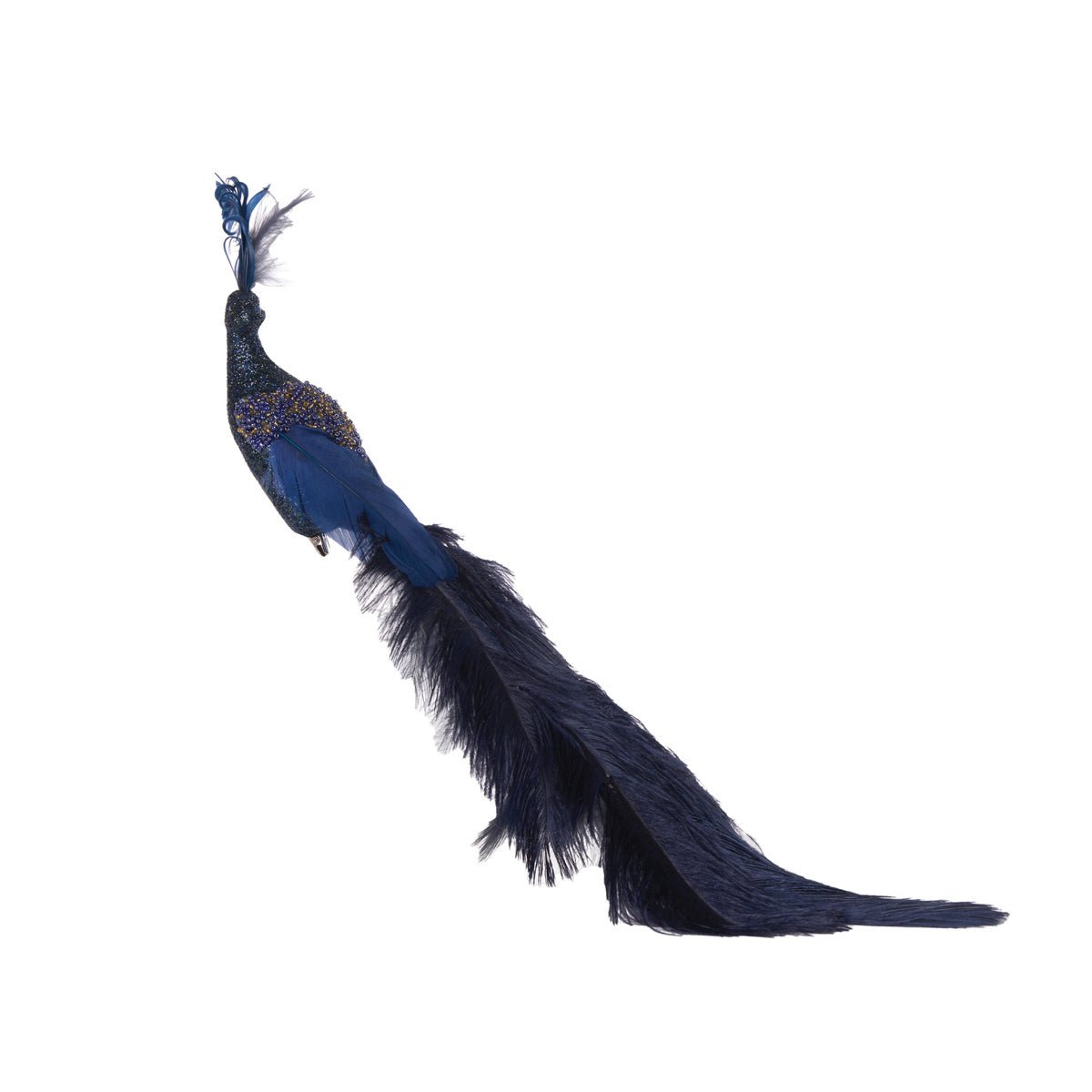 Navy Peacock - My Christmas