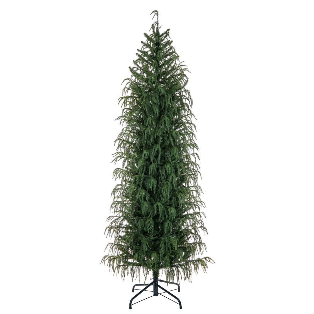 Norfolk Pine Christmas Tree - My Christmas