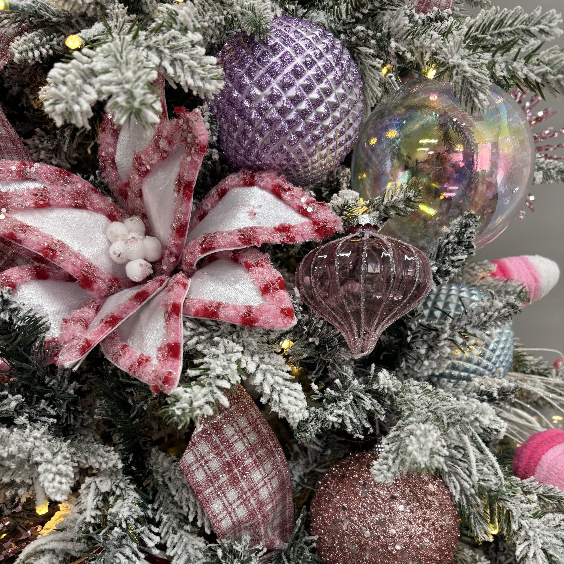 Pink and White Poinsettia - My Christmas
