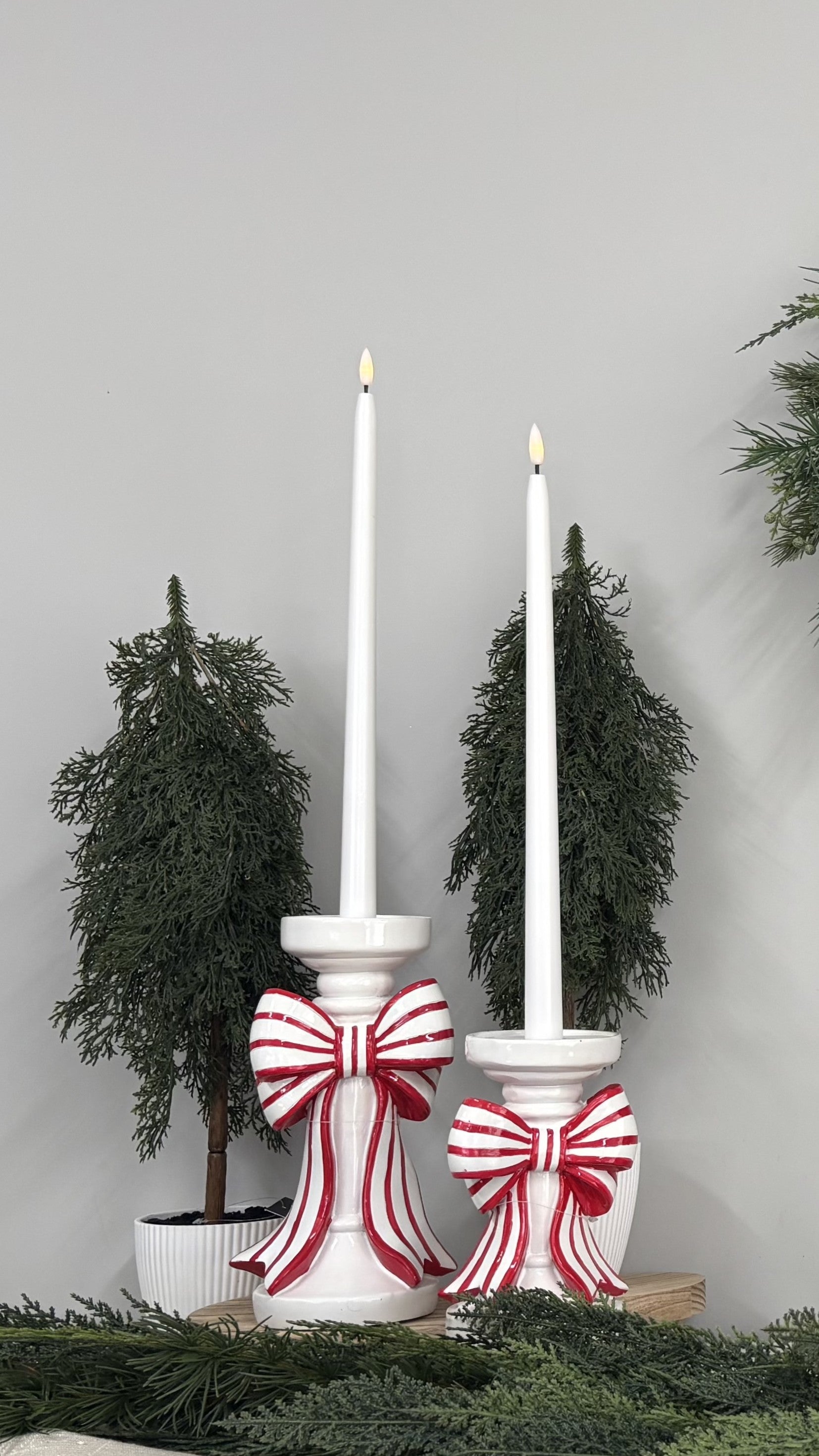 Potted Tree Pine Cypress - 50cm - My Christmas