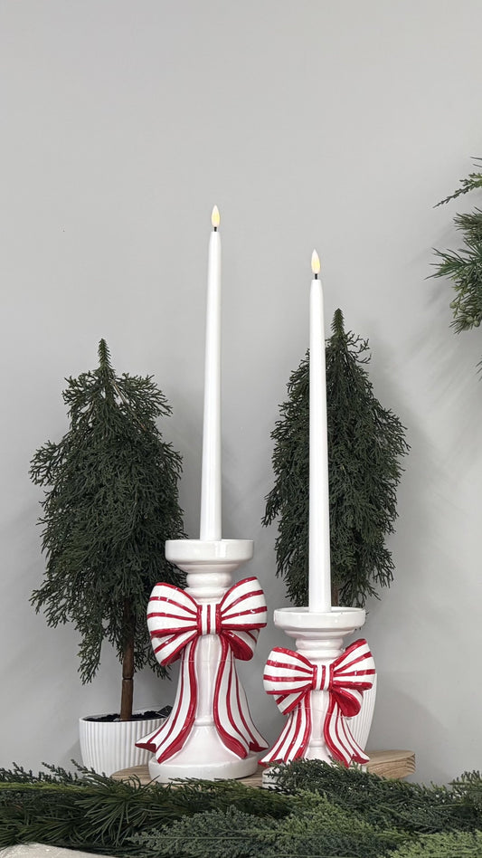 Potted Tree Pine Cypress - 50cm - My Christmas