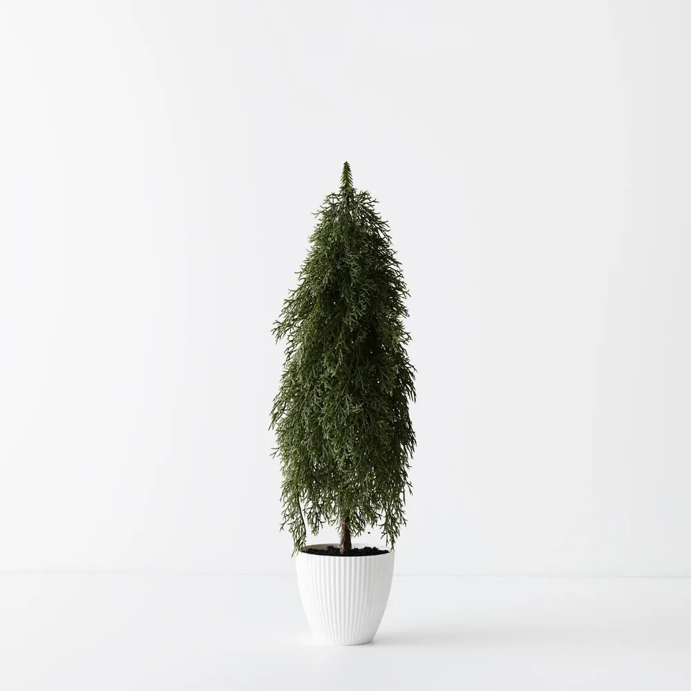Potted Tree Pine Cypress - 58cm - My Christmas