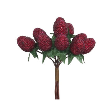 Raspberry Bunch - My Christmas