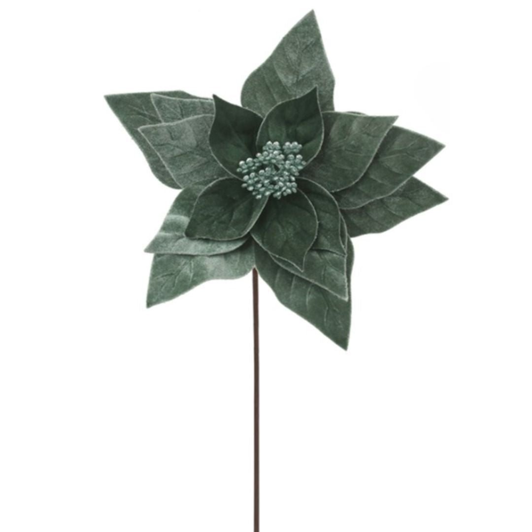 Sage Velour Poinsettia - My Christmas