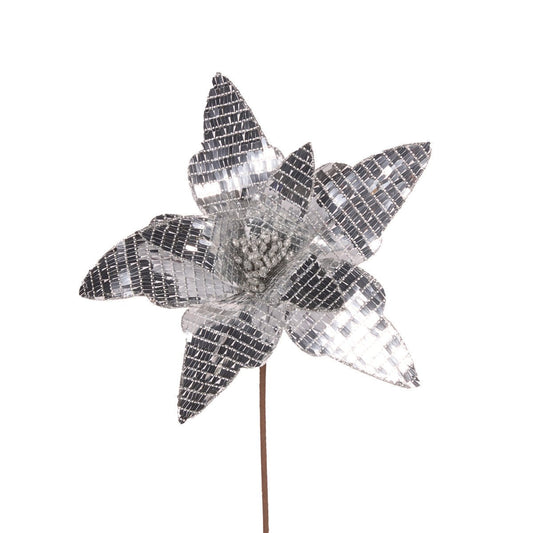 Silver Disco Poinsettia - My Christmas