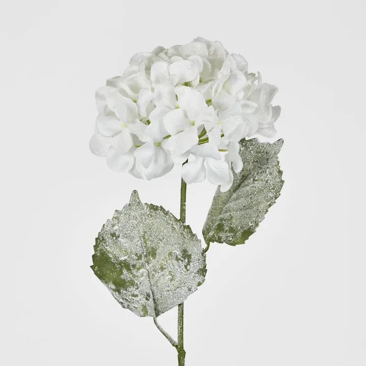 Snow Covered White Christmas Hydrangea - My Christmas