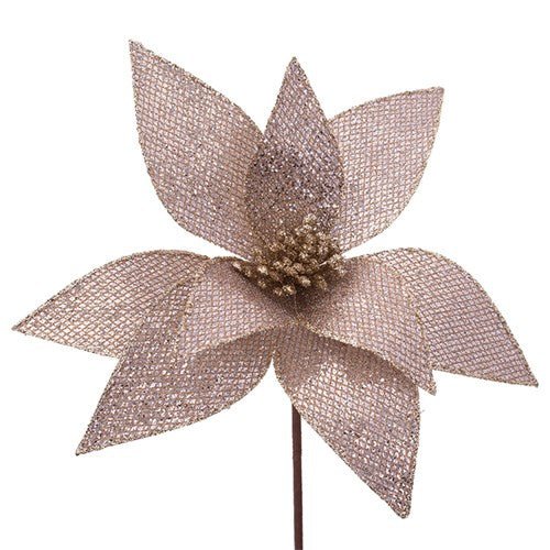Taupe Poinsettia - My Christmas