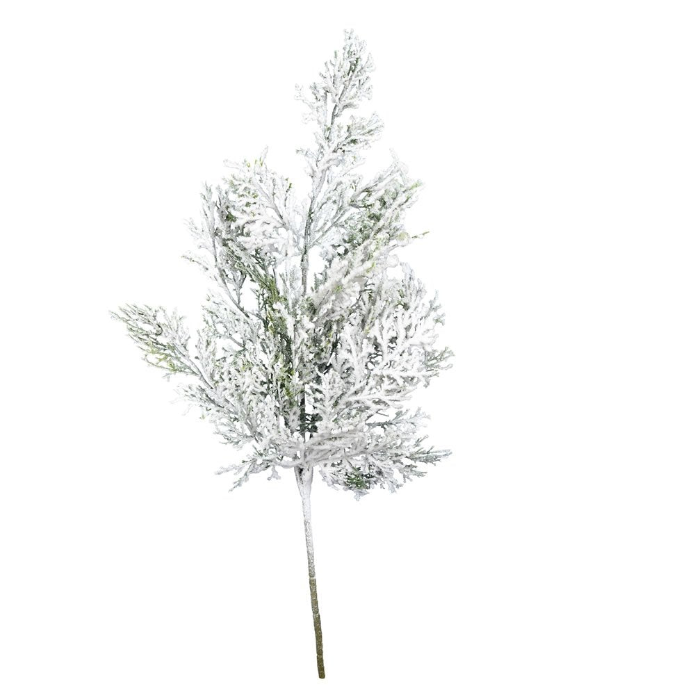 Cedar Spray - My Christmas