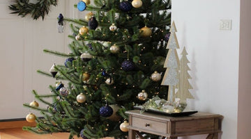 Christmas In July Charity Event - My Christmas