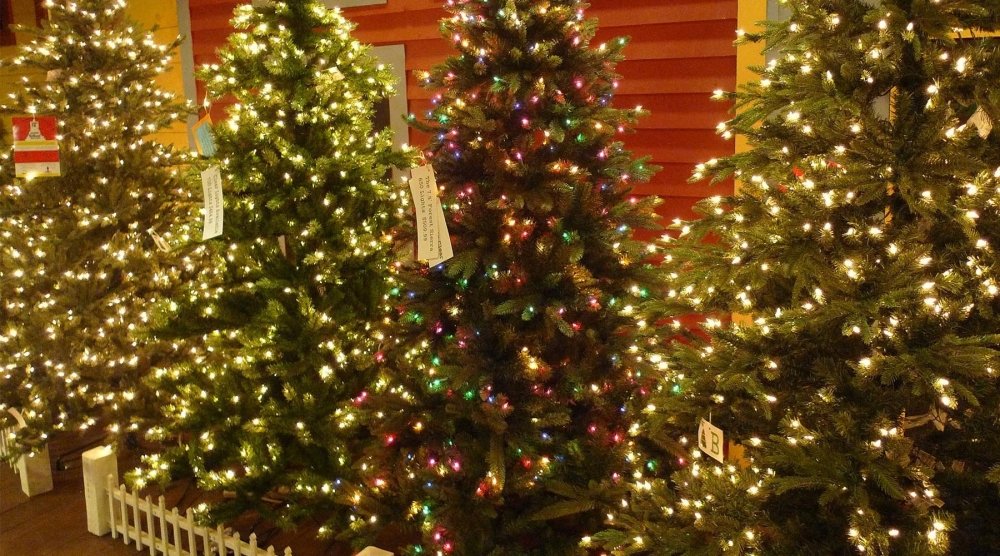 Raz Imports Christmas Trees for 2019 - My Christmas