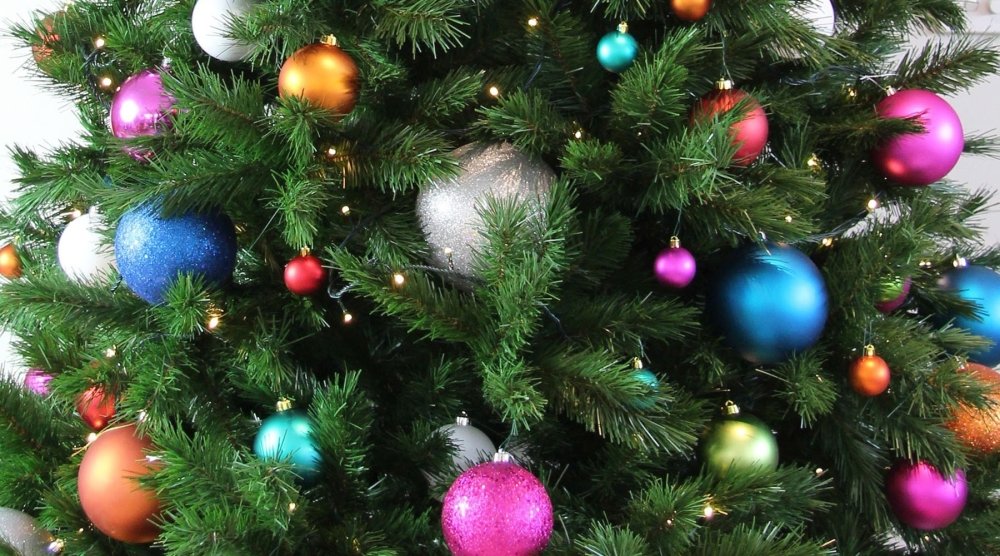 Top 5 Tips when Buy a Christmas Tree - My Christmas