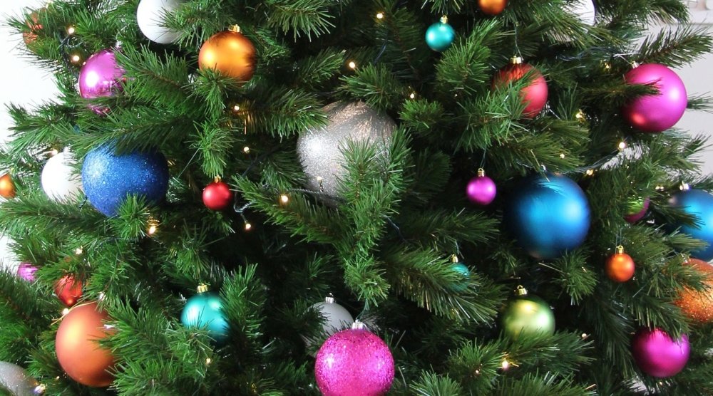 Top 5 Tips when Buy a Christmas Tree My Christmas