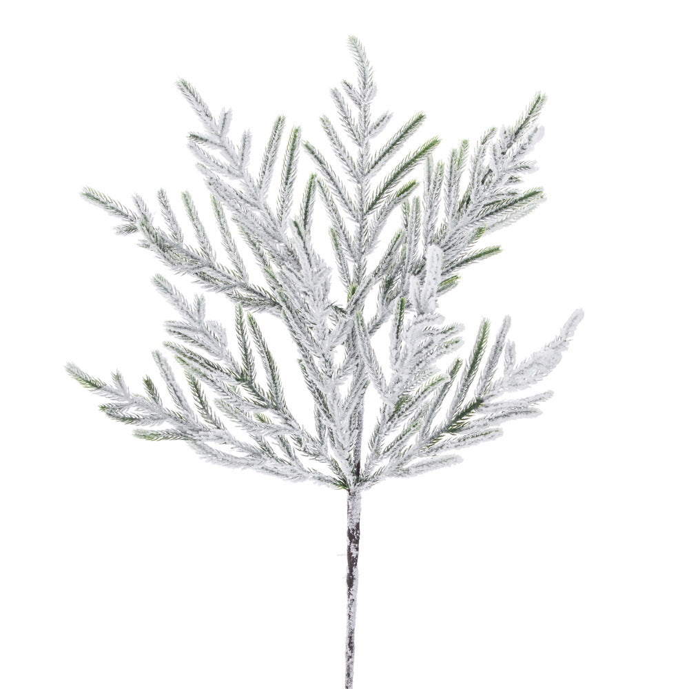 Frosted Norfolk Pine Spray