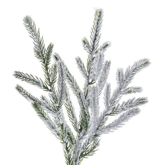 Frosted Norfolk Pine Garland - 270cm