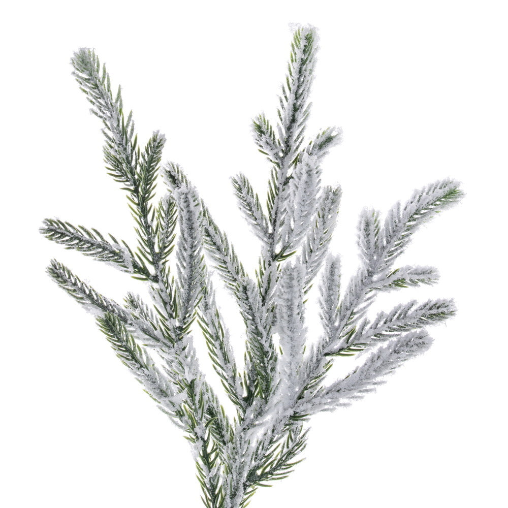 Frosted Norfolk Pine Garland - 270cm