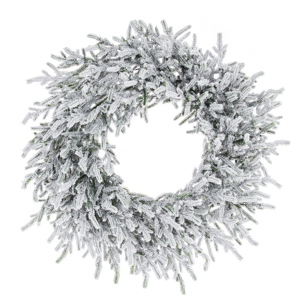 Frosted Norfolk Pine Wreath - 60cm