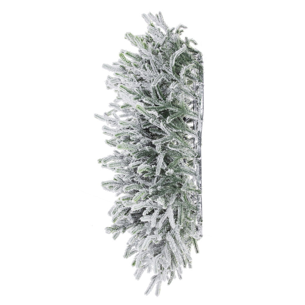 Frosted Norfolk Pine Wreath - 60cm