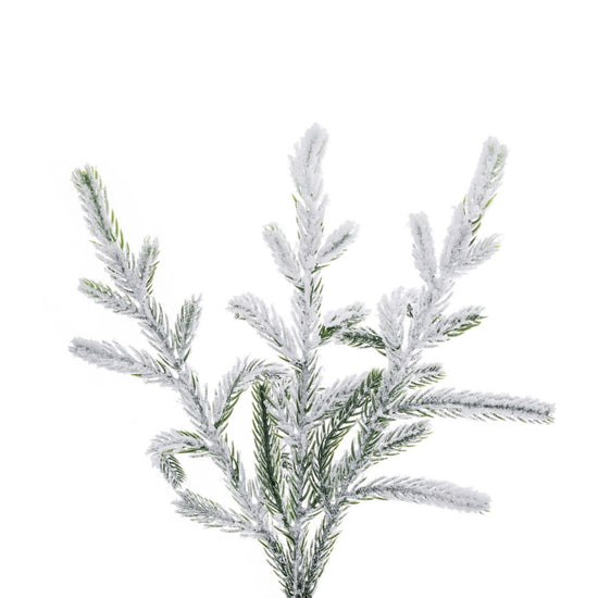 Frosted Norfolk Pine Wreath - 60cm