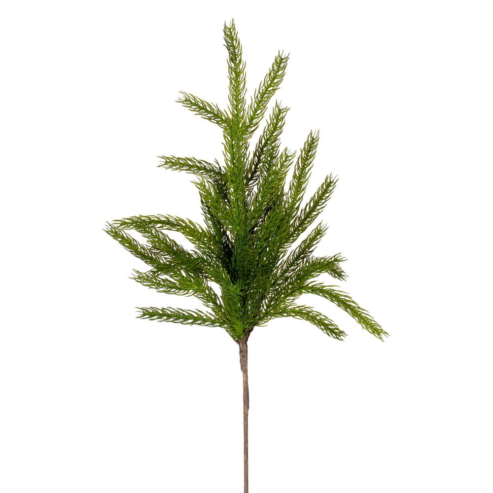 Green Thick-Needle Norfolk Pine Spray
