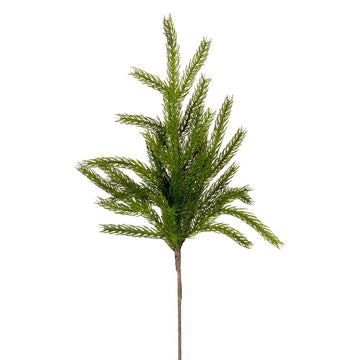 Green Thick-Needle Norfolk Pine Spray