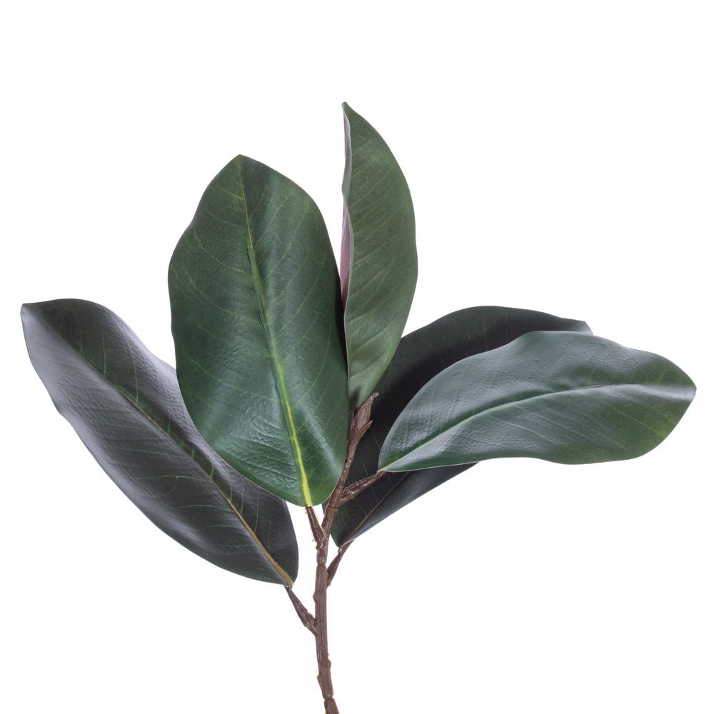 Green Magnolia Leaf Garland - 180cm