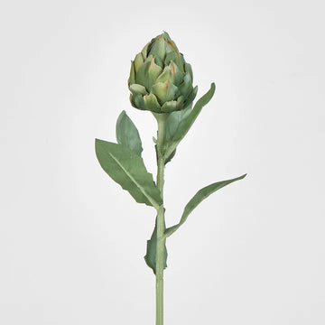Green Artichoke Stem - My Christmas