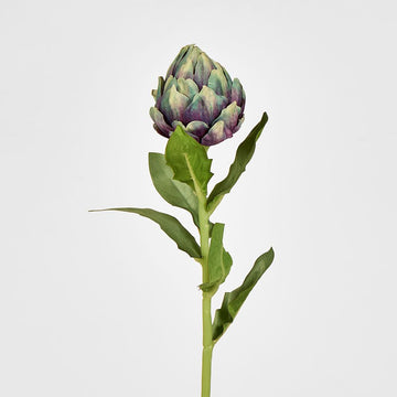 Purple Artichoke Stem - My Christmas