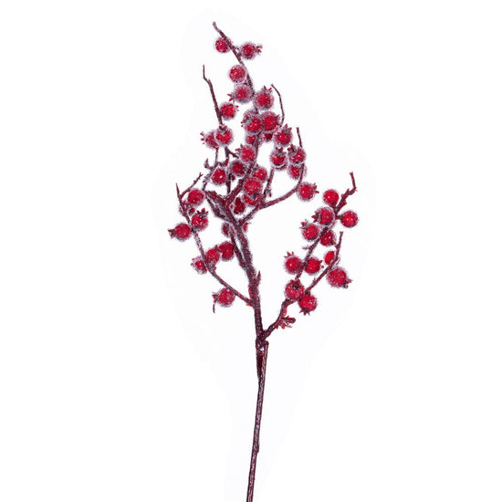 Winter Icy Red Berry Pick