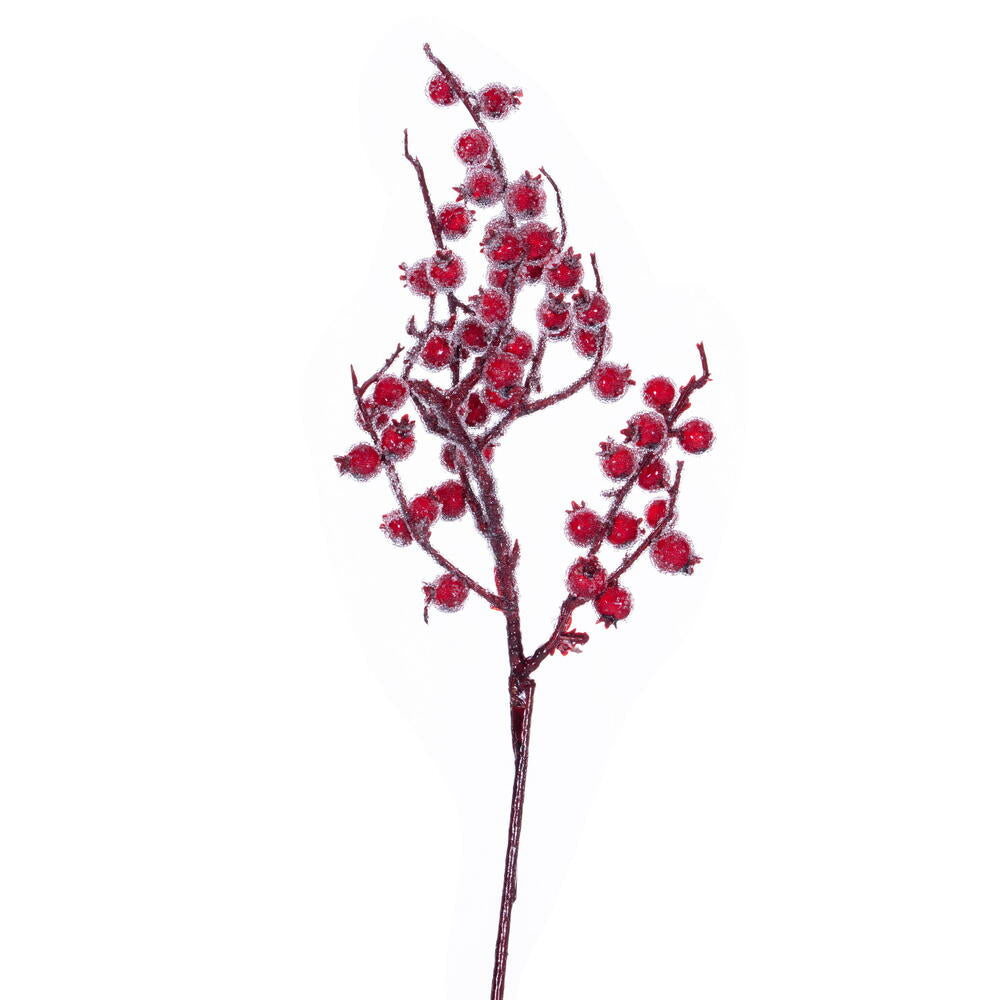 Winter Icy Red Berry Pick