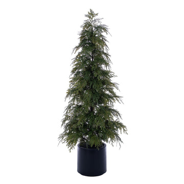 Green Cedar Potted Tree