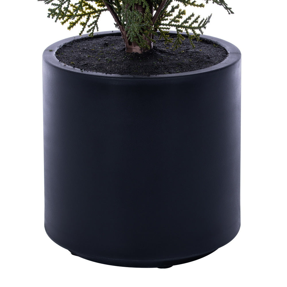 Green Cedar Potted Tree
