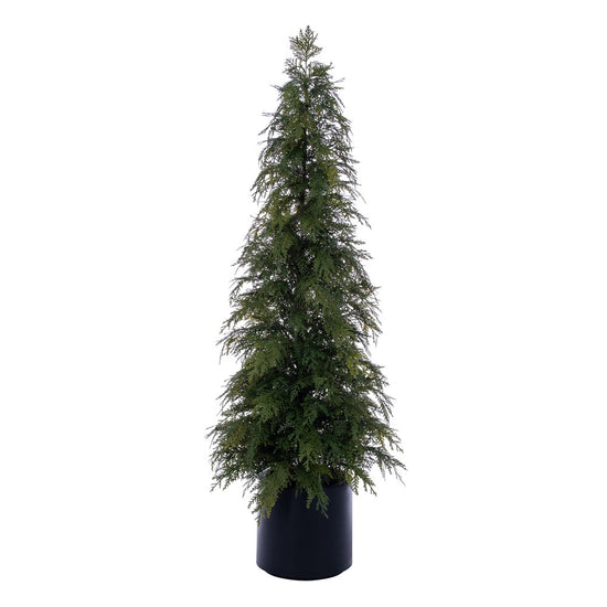 Green Cedar Potted Tree