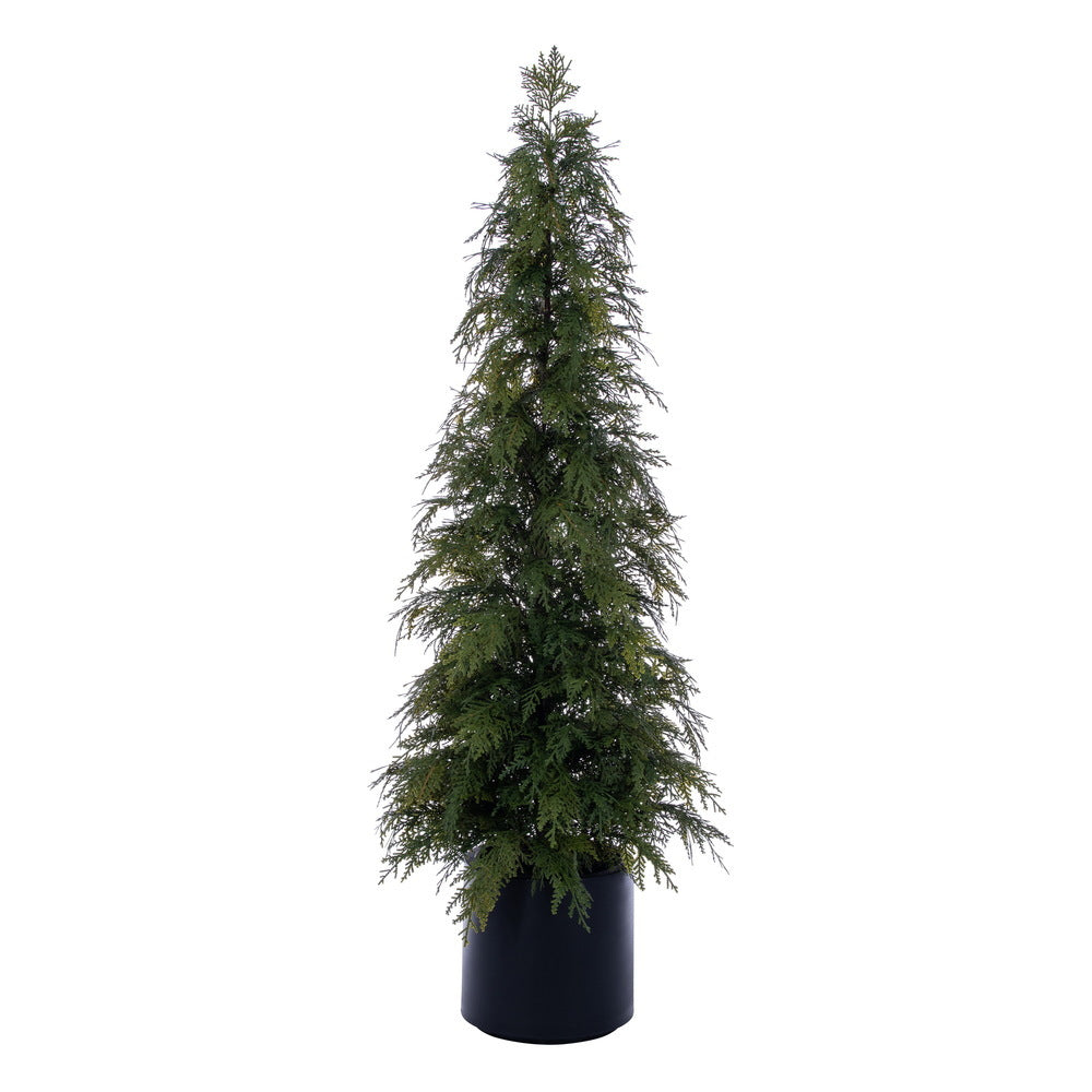 Green Cedar Potted Tree