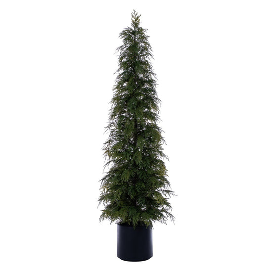 Green Cedar Potted Tree