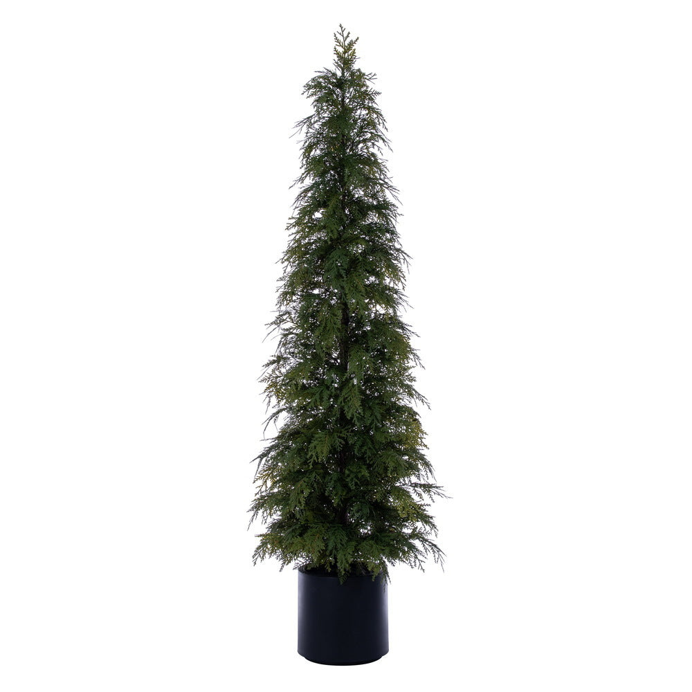Green Cedar Potted Tree