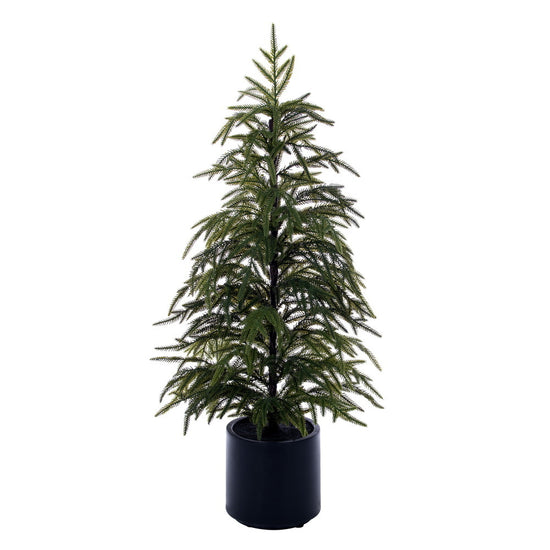 Green Norfolk Pine Potted Tree