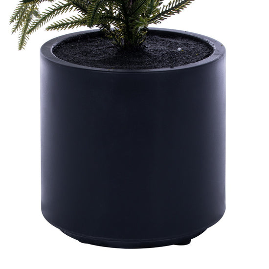 Green Norfolk Pine Potted Tree