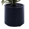 Green Norfolk Pine Potted Tree