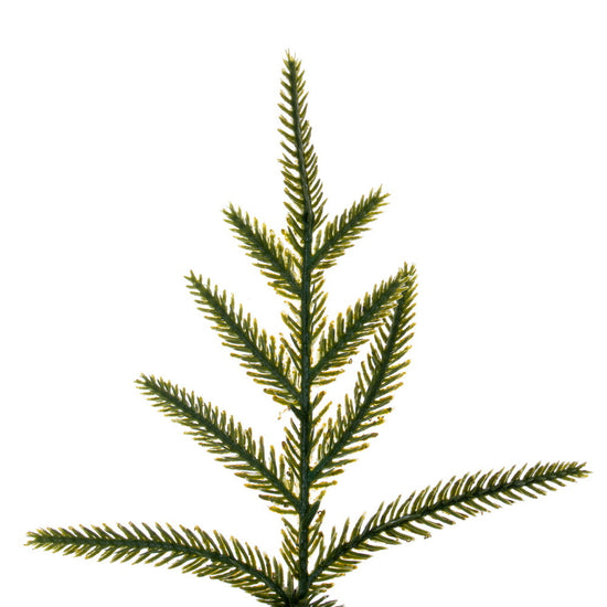 Green Norfolk Pine Potted Tree