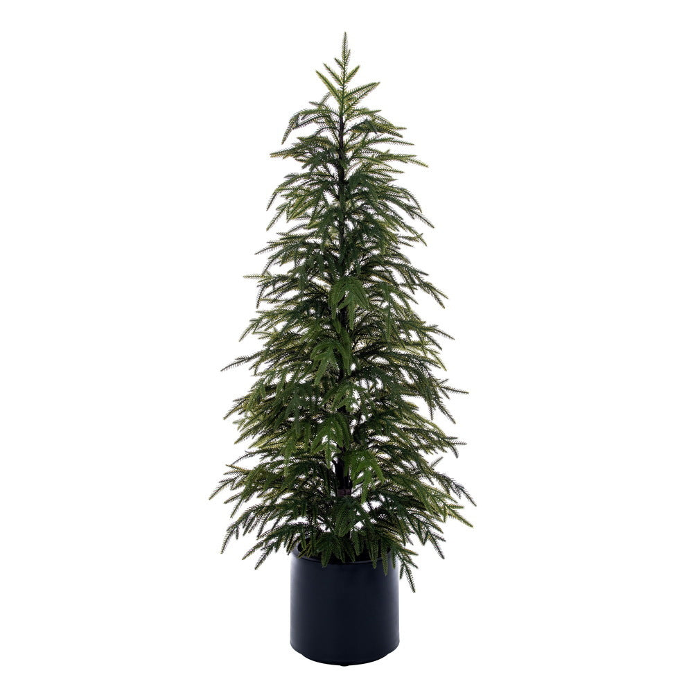 Green Norfolk Pine Potted Tree