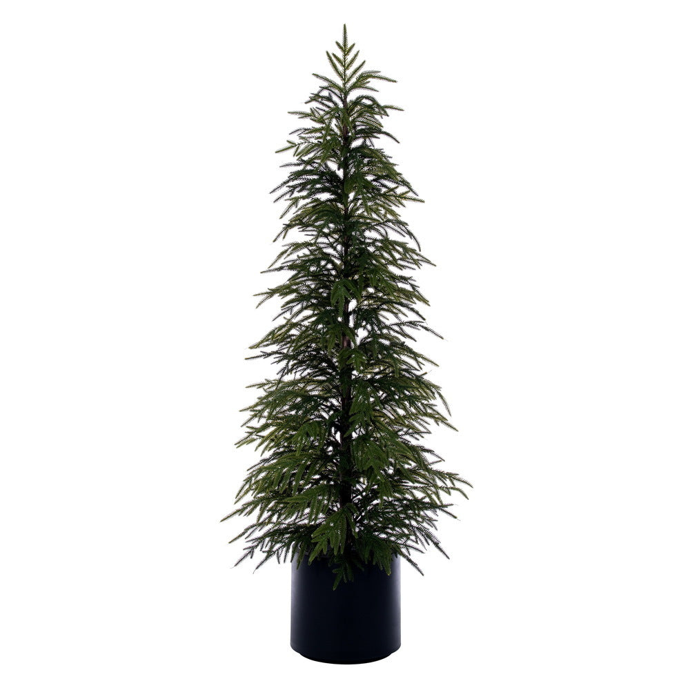 Green Norfolk Pine Potted Tree