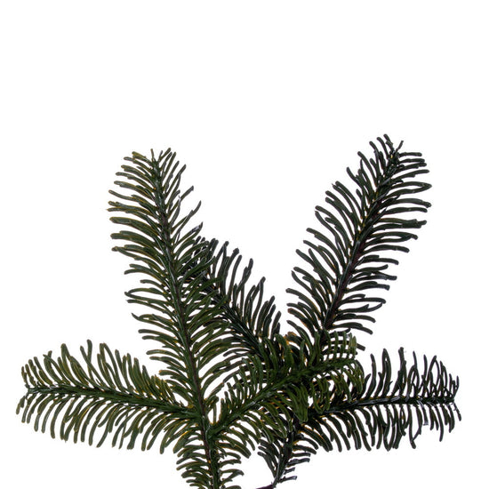 Green Douglas Fir Garland - 183cm