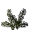 Green Douglas Fir Garland - 183cm