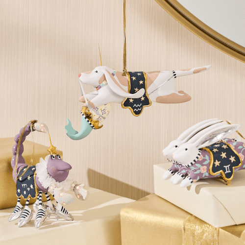 Aquarius Zodiac Ornament - My Christmas