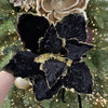 Black and Gold Poinsettia with Clip - My Christmas